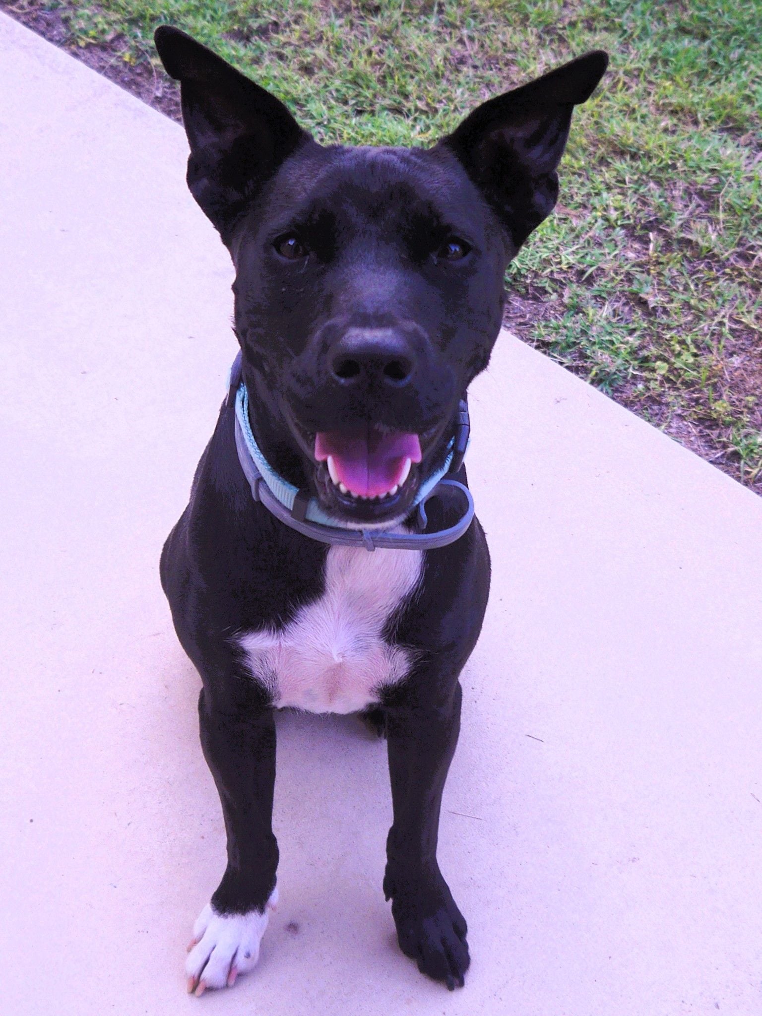Xena Xena